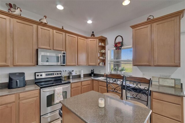 13421 Sydney Rd, Valrico, FL 33594 - kitchen with open shelves, stainless steel appliances, a center island, and recessed lighting