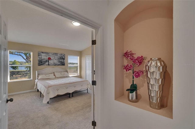 13421 Sydney Rd, Valrico, FL 33594 - bedroom featuring carpet floors, lofted ceiling, and baseboards