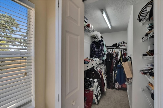 13421 Sydney Rd, Valrico, FL 33594 - walk in closet with carpet