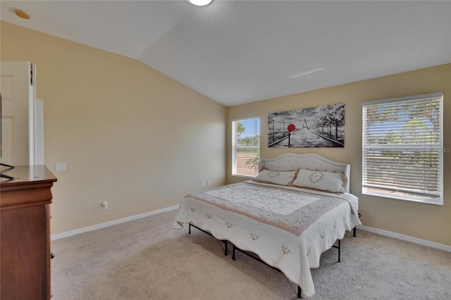 13421 Sydney Rd, Valrico, FL 33594 - bedroom with lofted ceiling, baseboards, and carpet floors