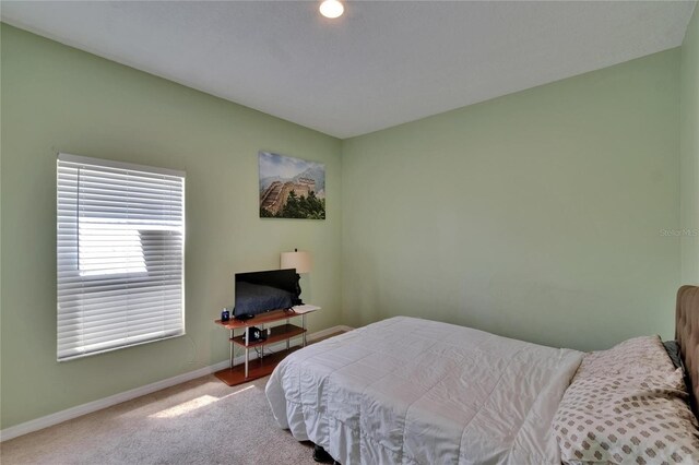 13421 Sydney Rd, Valrico, FL 33594 - bedroom featuring baseboards and carpet