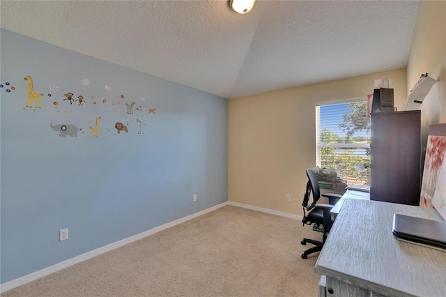 13421 Sydney Rd, Valrico, FL 33594 - carpeted office with a textured ceiling and baseboards