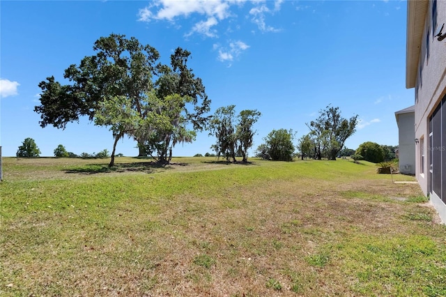 13421 Sydney Rd, Valrico, FL 33594 - view of yard