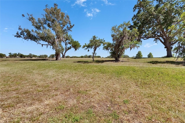 13421 Sydney Rd, Valrico, FL 33594 - view of yard featuring a rural view