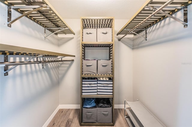 walk in closet with wood finished floors