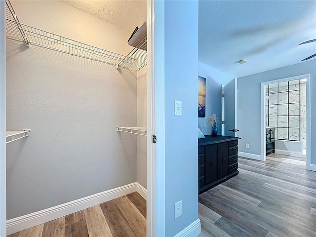 6811 S Himes Ave, Tampa, FL 33611 - walk in closet with wood finished floors and a ceiling fan