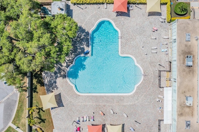 2310 Denmark St Unit 30, Clearwater, FL 33763 - bird's eye view of a pool