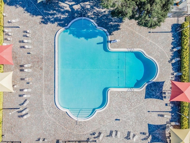 2310 Denmark St Unit 30, Clearwater, FL 33763 - drone / aerial view of a pool