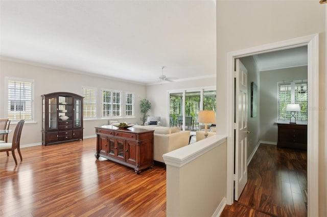 15324 Sherwood Forest Dr, Tampa, FL 33647 - living area featuring ornamental molding, dark wood-style flooring, healthy amount of natural light, ceiling fan, and baseboards