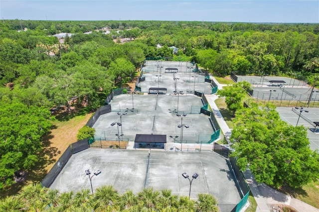 15324 Sherwood Forest Dr, Tampa, FL 33647 - bird's eye view of a forest
