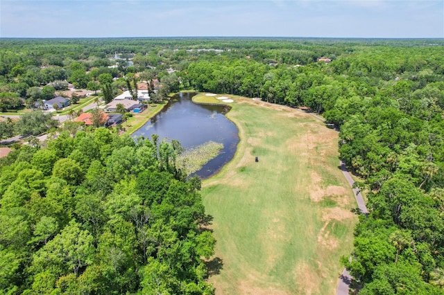15324 Sherwood Forest Dr, Tampa, FL 33647 - bird's eye view of a large body of water, a forest, and a local golf course