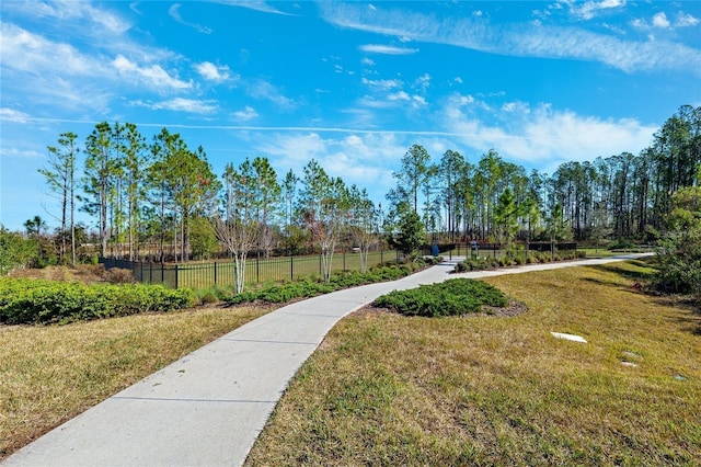 9943 Campanula Ct, Land O Lakes, FL 34637 - photo 31