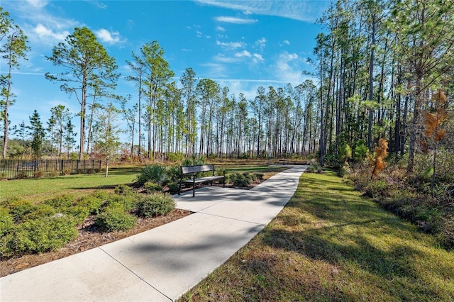 9943 Campanula Ct, Land O Lakes, FL 34637 - photo 32