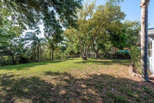 10137 Oleander Dr, Port Richey, FL 34668 - view of yard