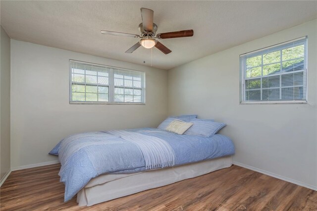 10137 Oleander Dr, Port Richey, FL 34668 - bedroom with wood finished floors, baseboards, and a ceiling fan