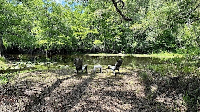 29133 Lawton Dr, Nobleton, FL 34661 - photo 1