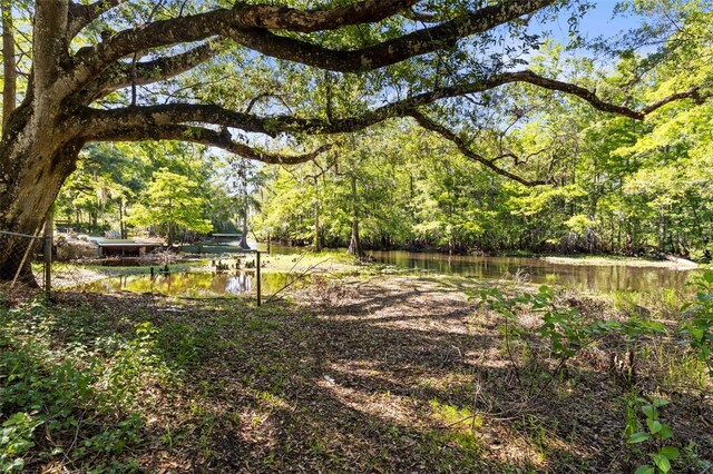 29133 Lawton Dr, Nobleton, FL 34661 - photo 33