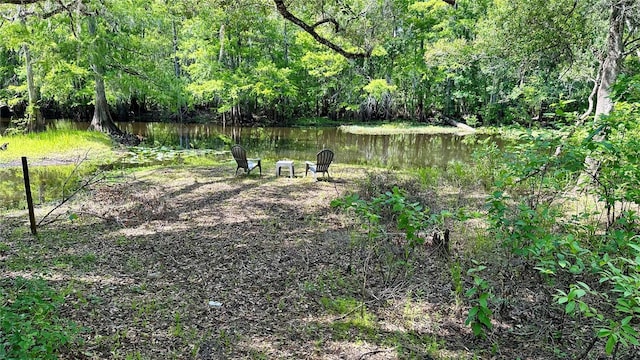 29133 Lawton Dr, Nobleton, FL 34661 - photo 34