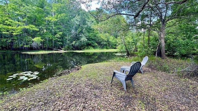 29133 Lawton Dr, Nobleton, FL 34661 - photo 35
