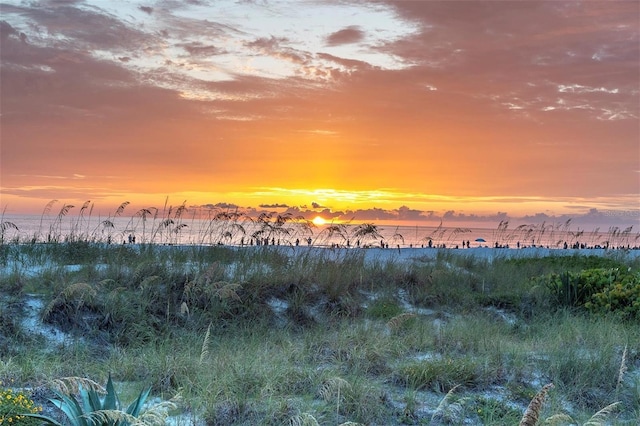 4450 Gulf Blvd Unit 114, St Pete Beach, FL 33706 - view of undeveloped land with waterfront with a beach
