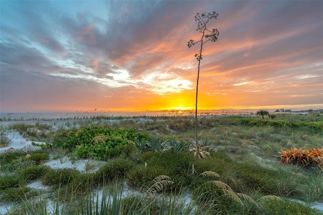 4450 Gulf Blvd Unit 114, St Pete Beach, FL 33706 - nature at dusk with a water view