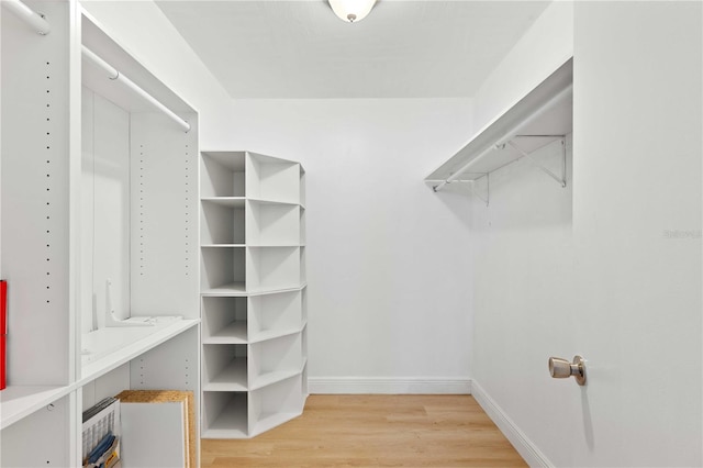 walk in closet with wood finished floors