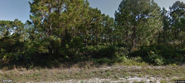 1021 Eubanks St, Lehigh Acres, FL 33974
