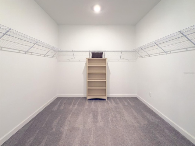 spacious closet with dark carpet