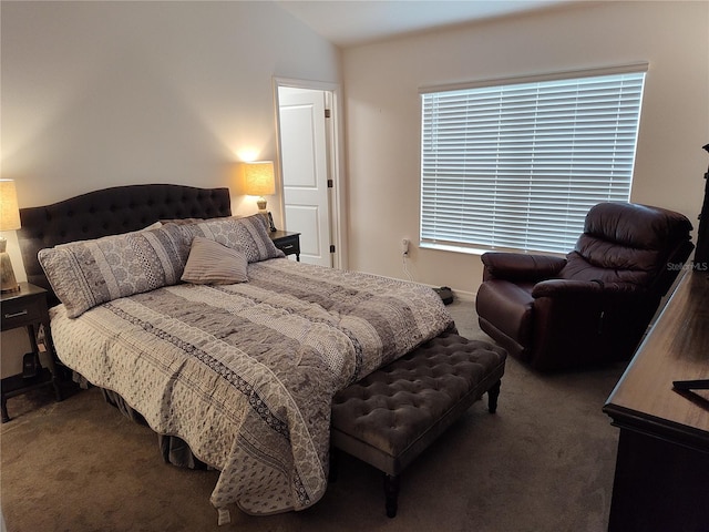 6030 Dijulio Ter, The Villages, FL 32163 - bedroom with lofted ceiling and carpet floors