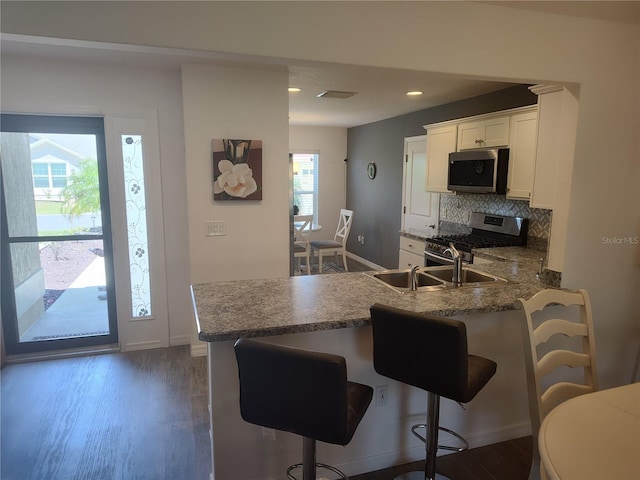 6030 Dijulio Ter, The Villages, FL 32163 - kitchen featuring a wealth of natural light, stainless steel appliances, a kitchen breakfast bar, and dark wood-type flooring