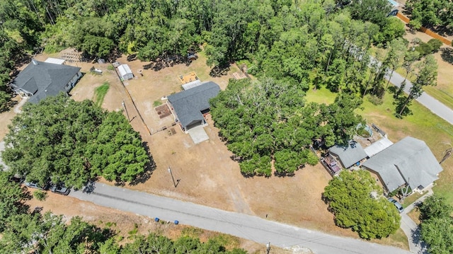 6821 Mary Lou Ln, Wesley Chapel, FL 33544 - drone / aerial view