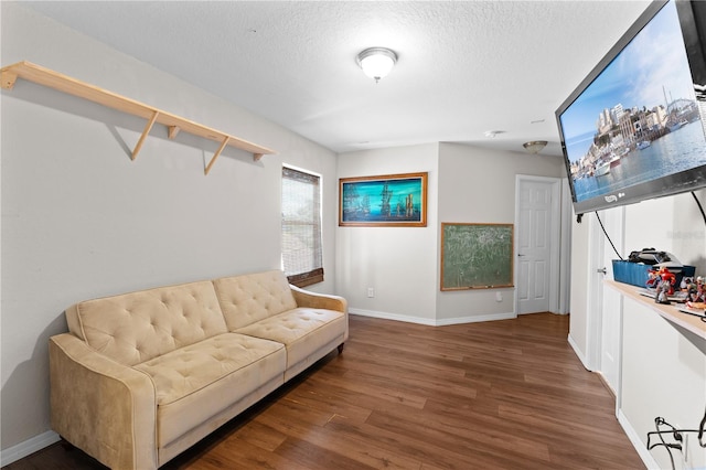 11449 Crestlake Village Dr, Riverview, FL 33569 - living area featuring baseboards, wood finished floors, and a textured ceiling