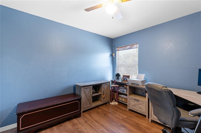 11449 Crestlake Village Dr, Riverview, FL 33569 - home office with wood finished floors, a ceiling fan, and a textured wall