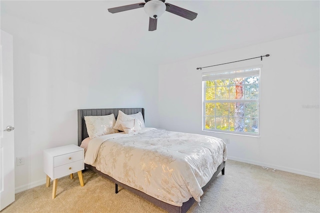 20121 Bending Creek Pl, Tampa, FL 33647 - bedroom with baseboards, a ceiling fan, and carpet flooring