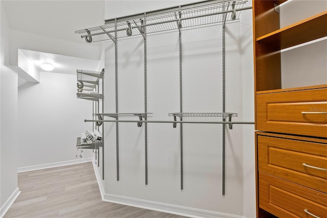 20121 Bending Creek Pl, Tampa, FL 33647 - walk in closet with light wood-type flooring