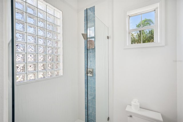 6202 Pasadena Point Blvd, Gulfport, FL 33707 - full bathroom with a stall shower and toilet