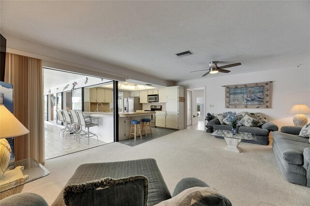 927 Golf Island Dr, Apollo Beach, FL 33572 - carpeted living area featuring ceiling fan, a sink, and a textured ceiling
