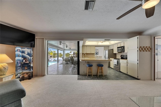 927 Golf Island Dr, Apollo Beach, FL 33572 - carpeted living area with a ceiling fan, a sink, and a textured ceiling