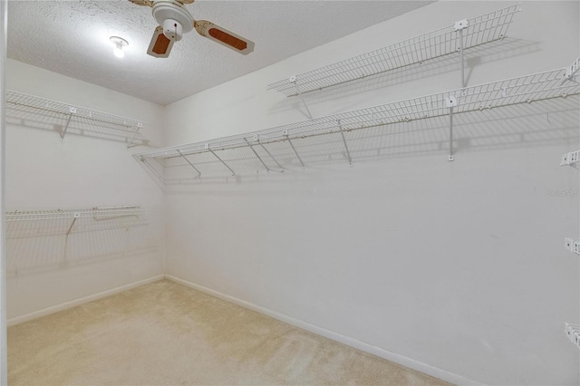 927 Golf Island Dr, Apollo Beach, FL 33572 - walk in closet with ceiling fan and carpet floors