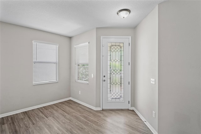 18837 Litzau Ln, Land O Lakes, FL 34638 - foyer with wood finished floors, baseboards, and a textured ceiling