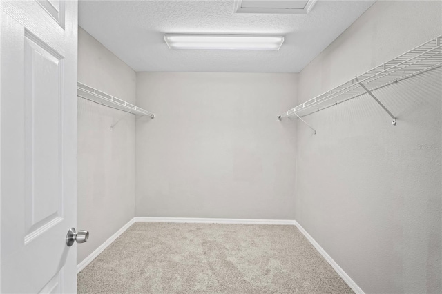 18837 Litzau Ln, Land O Lakes, FL 34638 - walk in closet with carpet floors