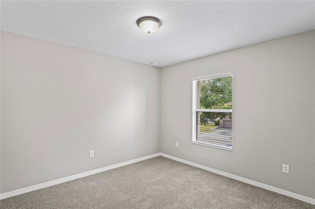 18837 Litzau Ln, Land O Lakes, FL 34638 - carpeted empty room featuring baseboards and a textured ceiling