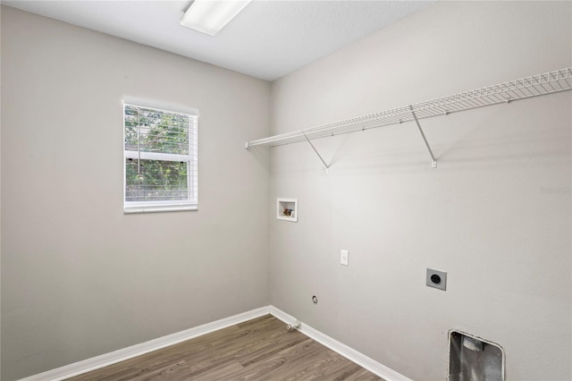 18837 Litzau Ln, Land O Lakes, FL 34638 - clothes washing area with washer hookup, hookup for an electric dryer, wood finished floors, baseboards, and gas dryer hookup