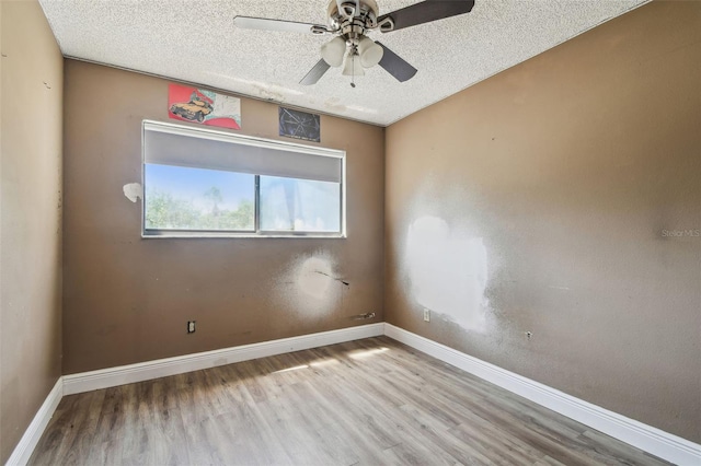 16169 Gardendale Dr, Tampa, FL 33624 - photo 34