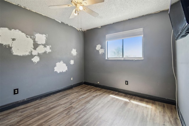 16169 Gardendale Dr, Tampa, FL 33624 - photo 36