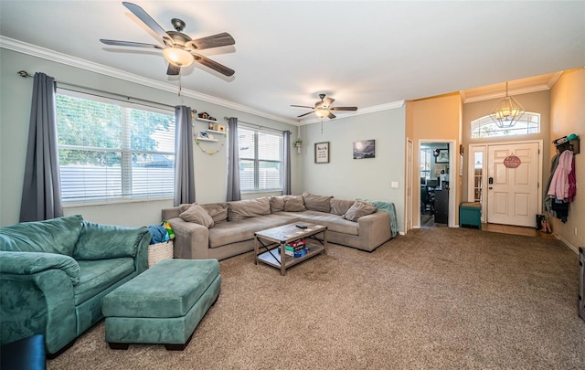 living room featuring ornamental molding, carpet, and ceiling fan with notable chandelier