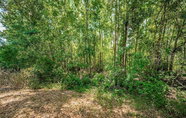 view of local wilderness featuring a view of trees