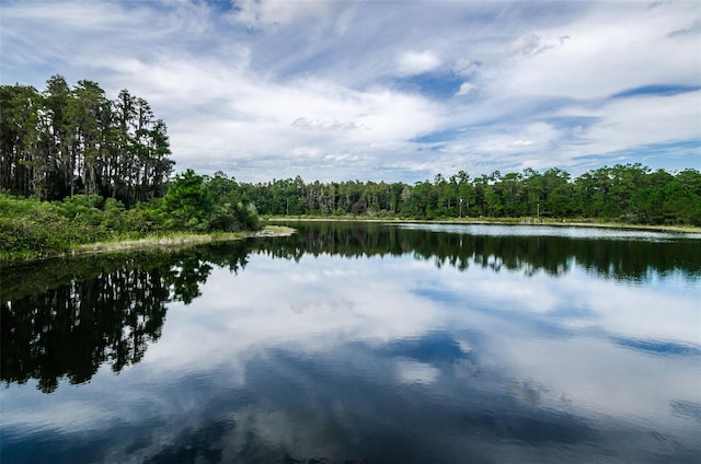 property view of water featuring a forest view