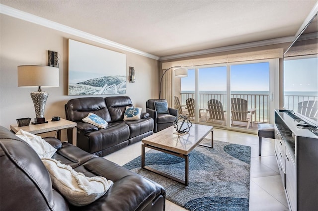 19418 Gulf Blvd Unit 507, Indian Shores, FL 33785 - living area with ornamental molding and light tile patterned floors