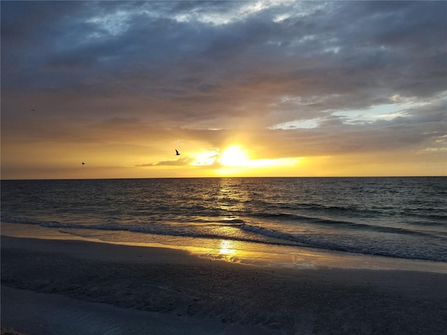 19418 Gulf Blvd Unit 507, Indian Shores, FL 33785 - water view with local beach